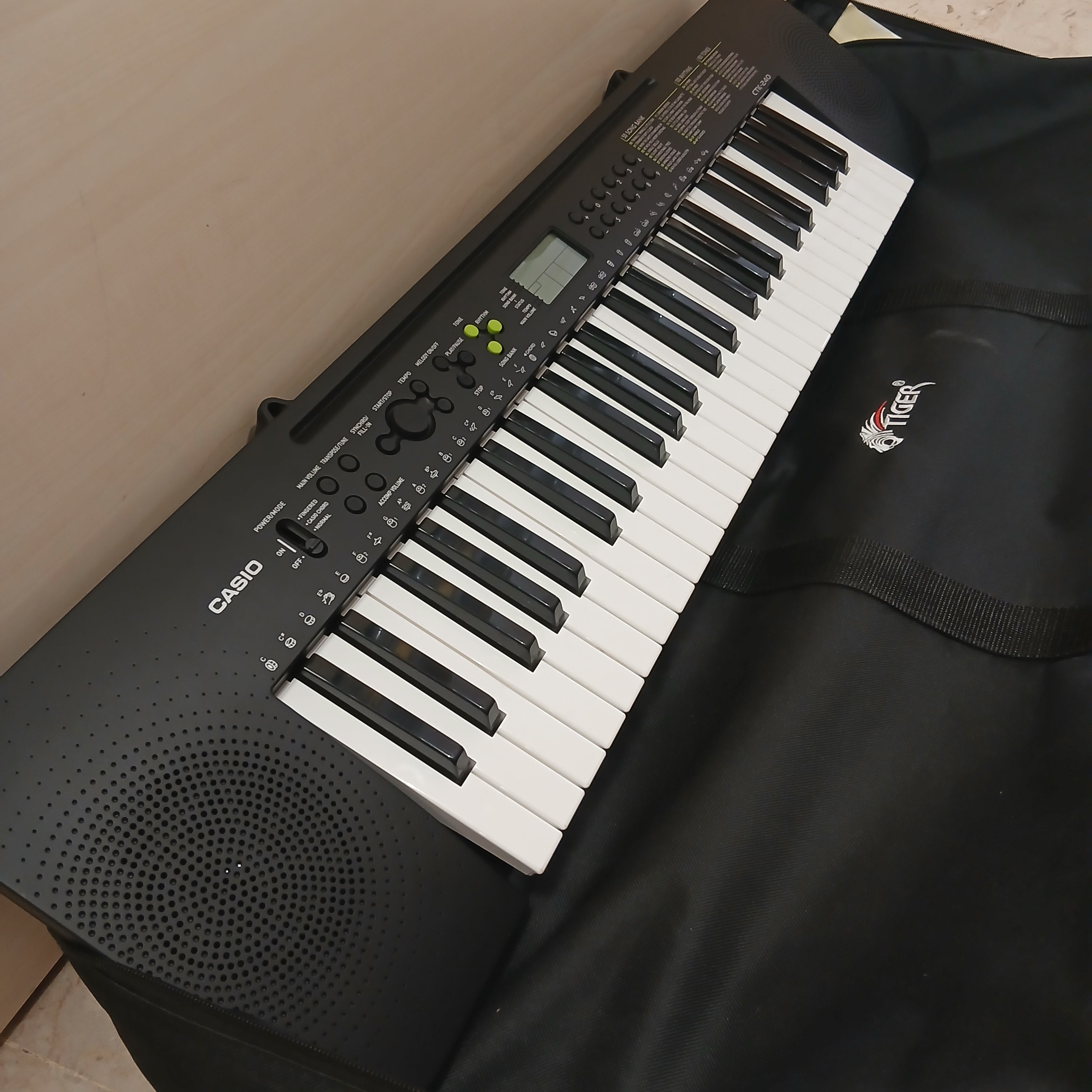 Pianola Casio Con Custodia